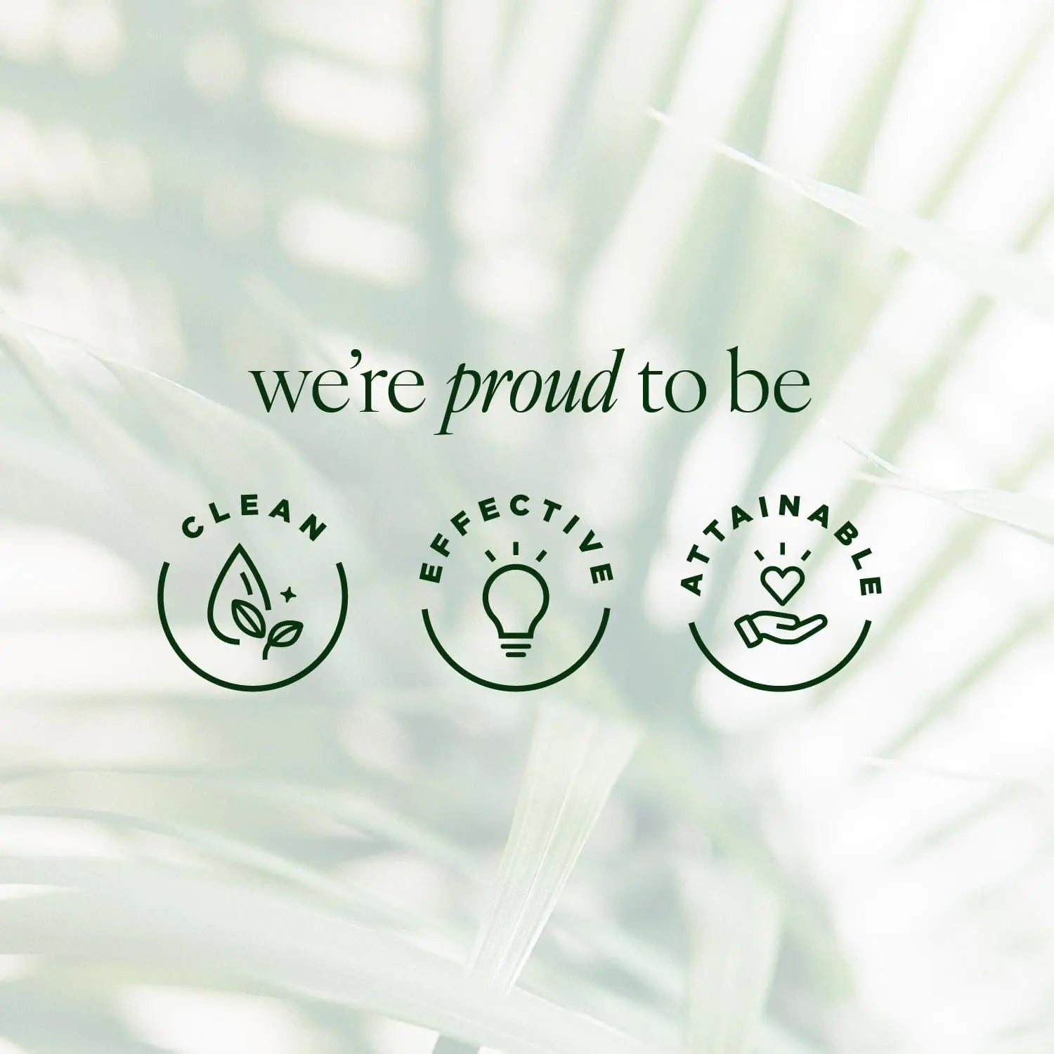 Tree of Life Power Trio Skin Care Set